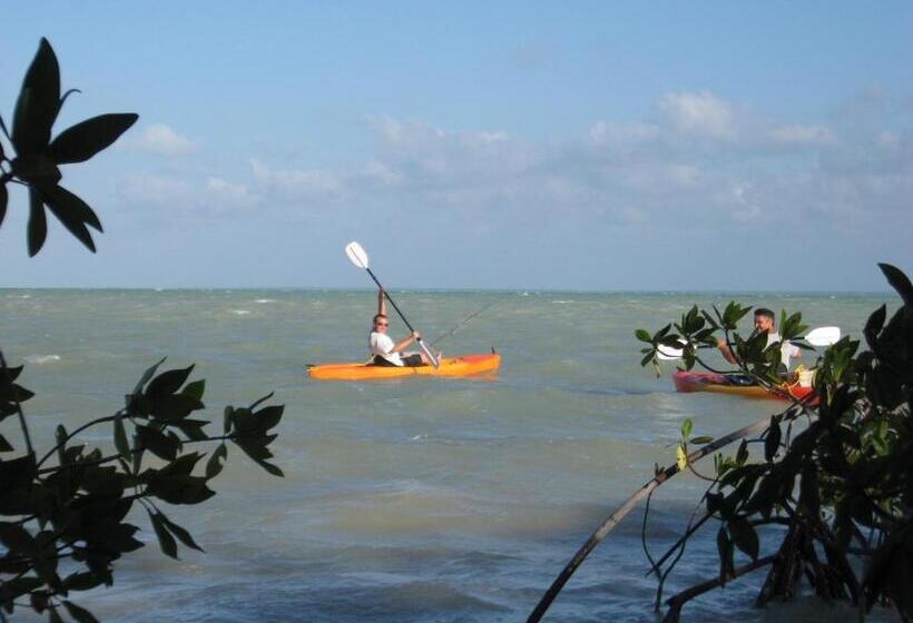 تختخواب و صبحانه Serenity Sands