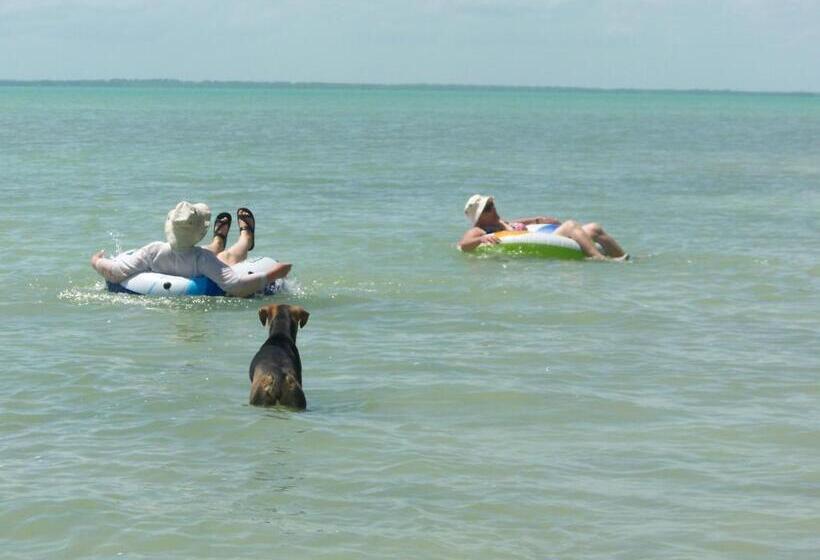 تختخواب و صبحانه Serenity Sands