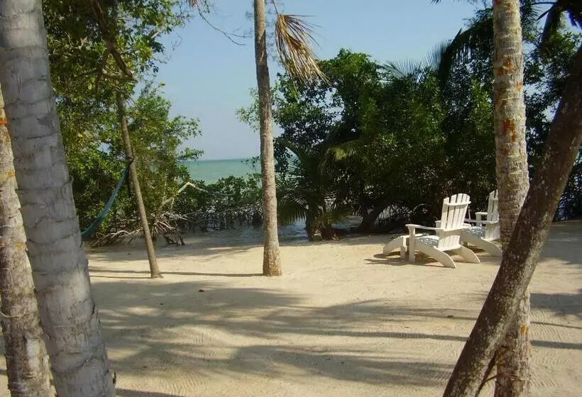 تختخواب و صبحانه Serenity Sands
