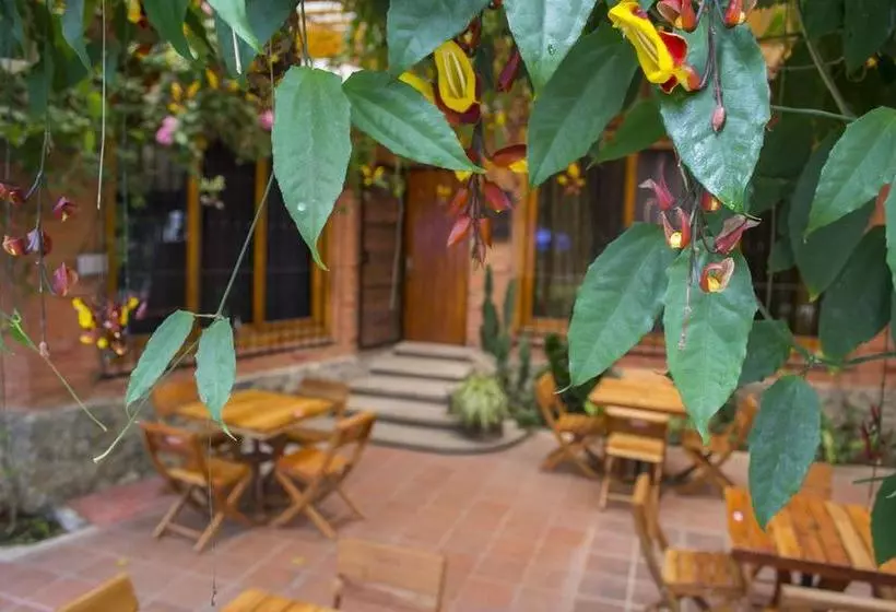 هتل Blue Mayan