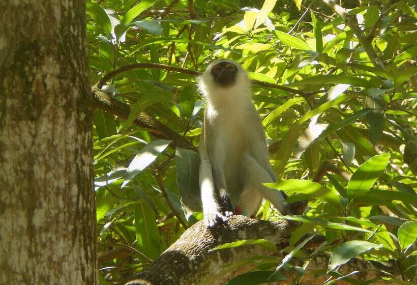 استراحتگاه Kilifi Maghreb