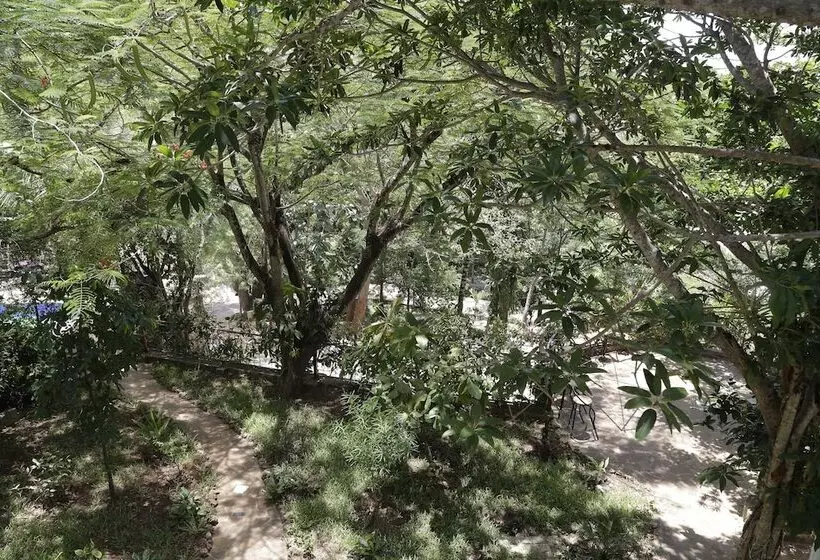 استراحتگاه Kilifi Maghreb