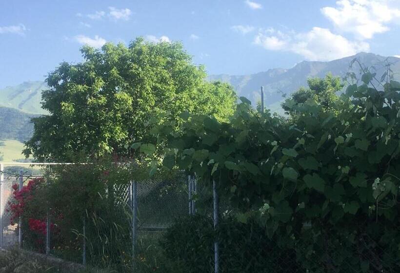 Bed And Breakfast John And Lena