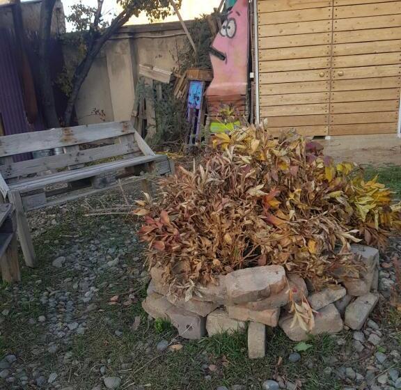 تختخواب و صبحانه Memo's Boutique Guesthouse