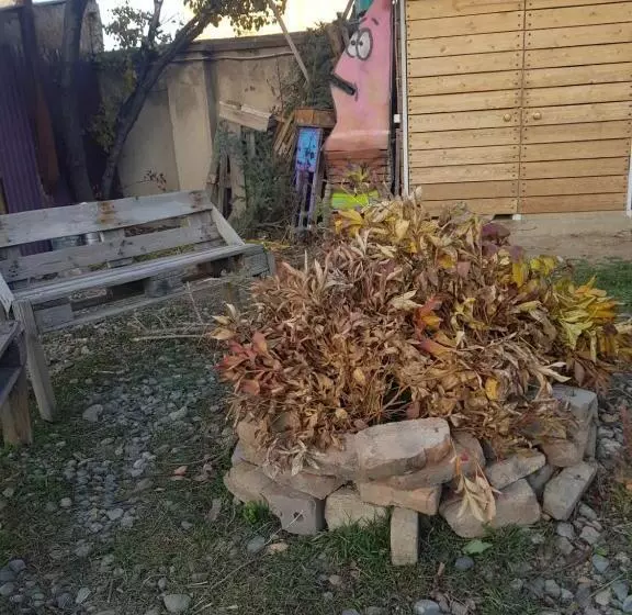 تختخواب و صبحانه Memo's Boutique Guesthouse