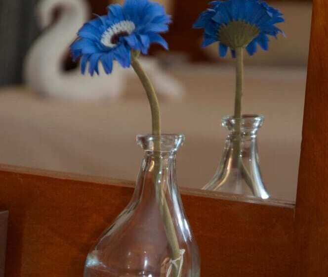 Elaria Hotel Hurgada