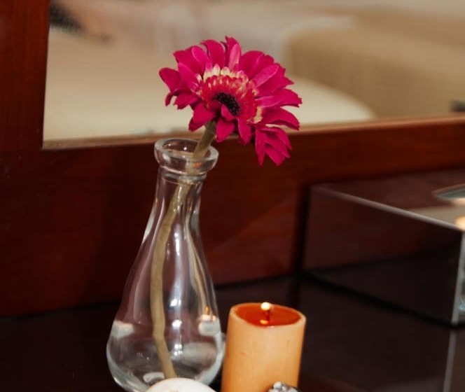 Elaria Hotel Hurgada