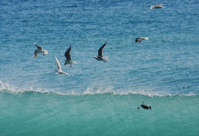 בית מלון כפרי Shiosai Resort Kamogawa