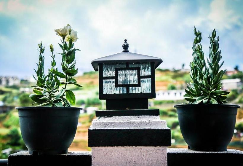 בית מלון כפרי Himawari Hills