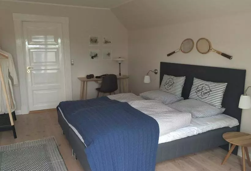 Bed and Breakfast Villa Vestbo
