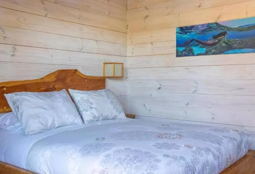 Hostal Sirena