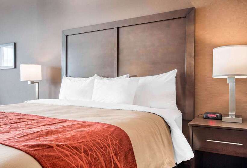 فندق Comfort Inn & Suites Merritt