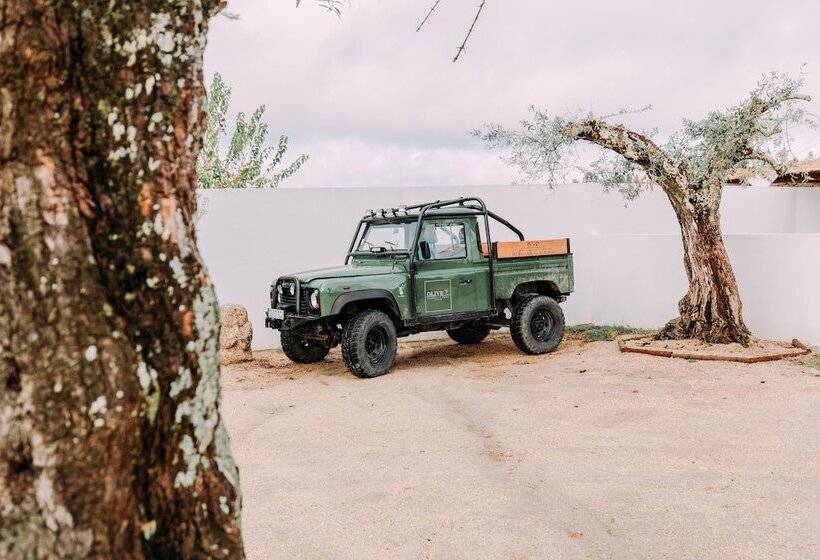 هتل Herdade Da Rocha Boutique Lodge