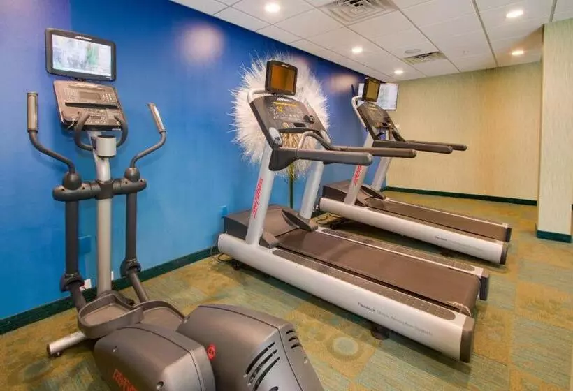 Hotelli Springhill Suites By Marriott Orlando Lake Buena Vista South
