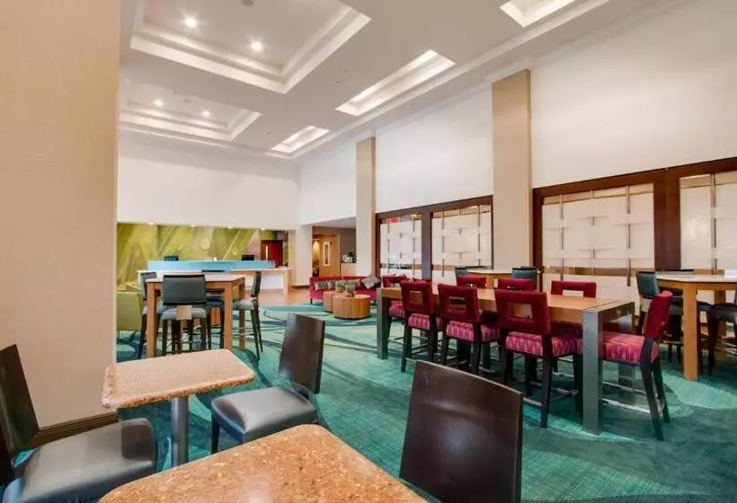 Hotelli Springhill Suites By Marriott Orlando Lake Buena Vista South