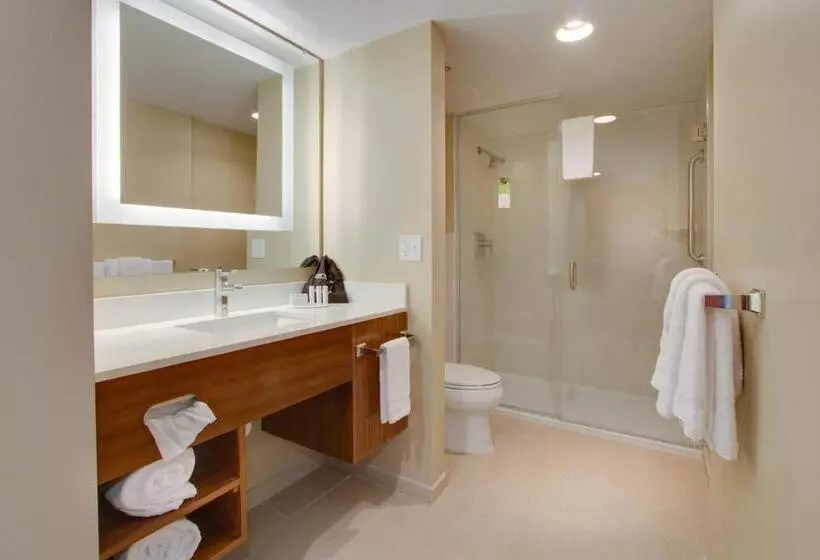 Hotelli Springhill Suites By Marriott Orlando Lake Buena Vista South