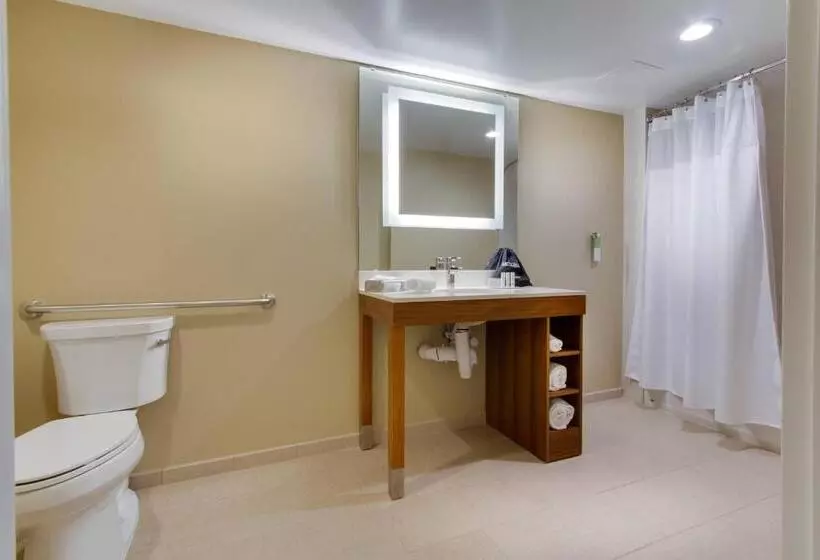 Hotelli Springhill Suites By Marriott Orlando Lake Buena Vista South
