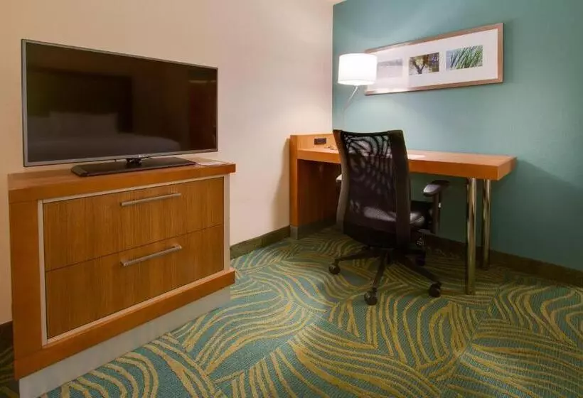 Hotelli Springhill Suites By Marriott Orlando Lake Buena Vista South