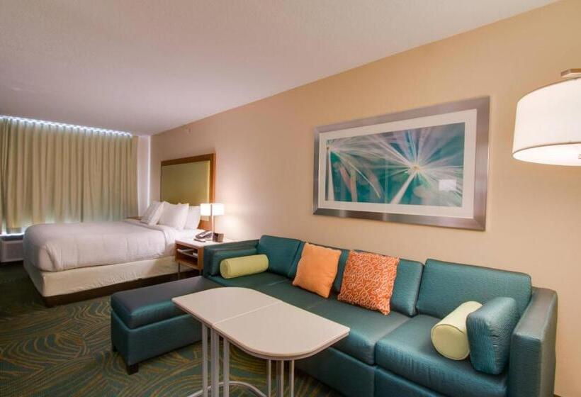 酒店 Springhill Suites By Marriott Orlando Lake Buena Vista South