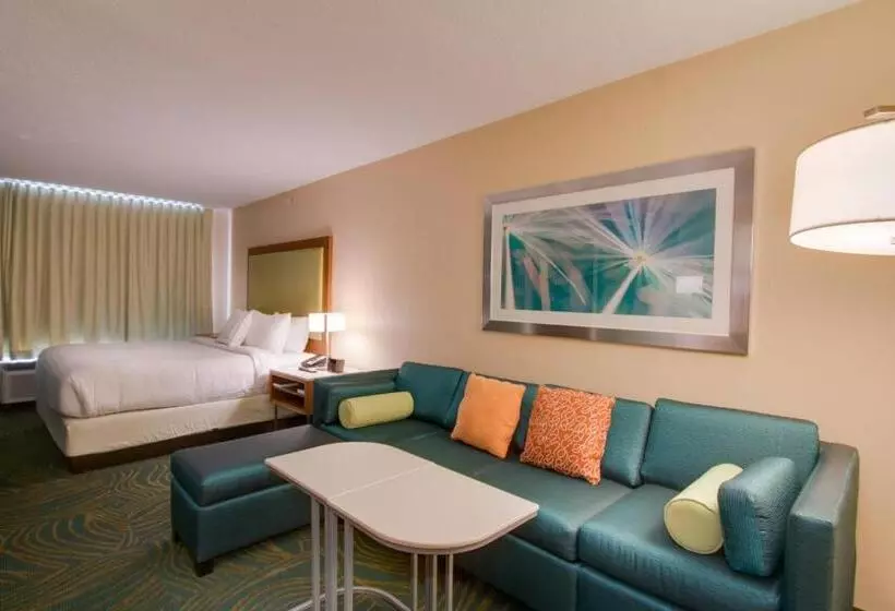 Hotelli Springhill Suites By Marriott Orlando Lake Buena Vista South