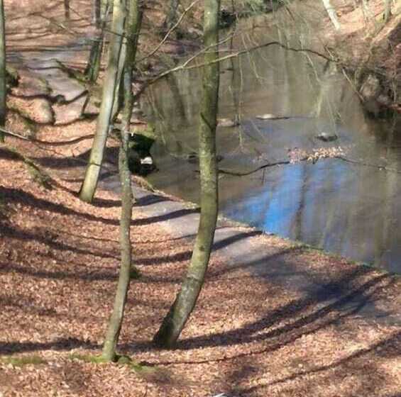 Sæby Spektrum & Hostel