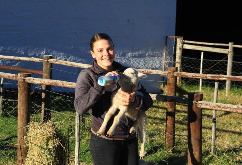 Ganora Guest Farm, Camping And Excursions