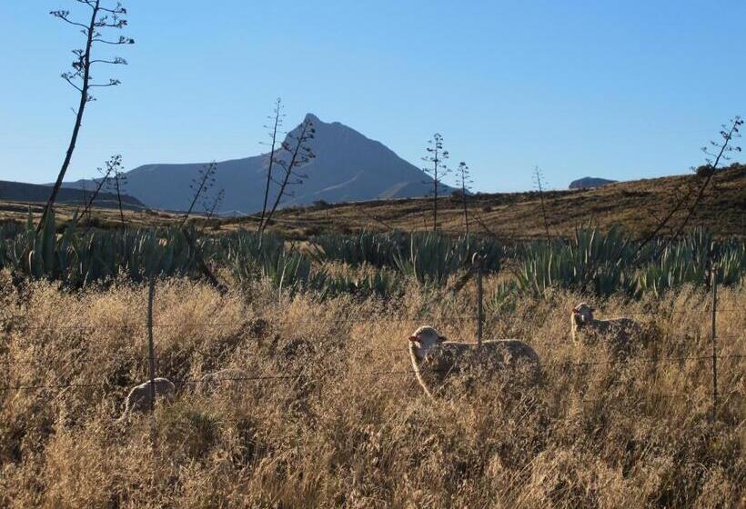 Ganora Guest Farm, Camping And Excursions