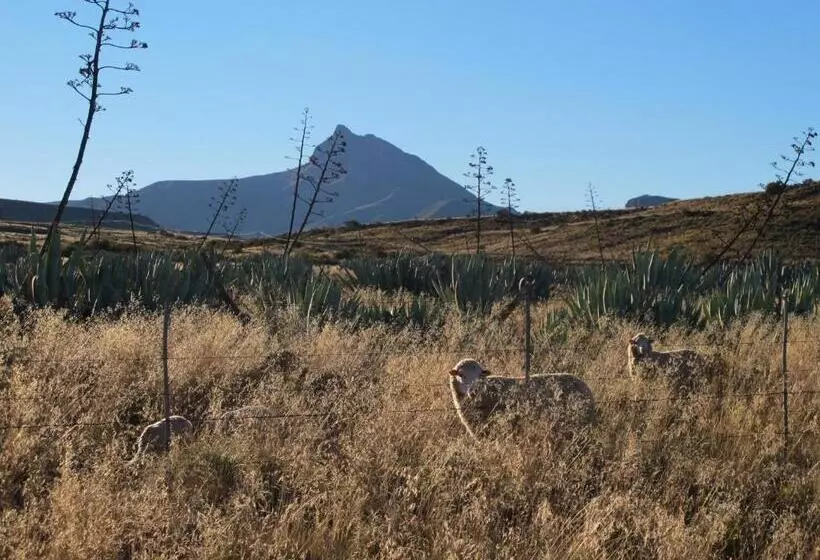 Ganora Guest Farm, Camping And Excursions