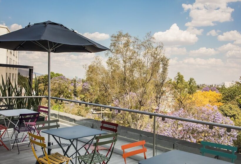 فندق One Guadalajara Expo