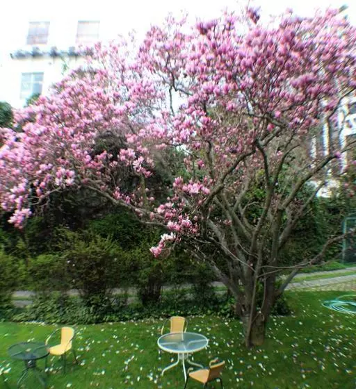 Hotel Terrabella