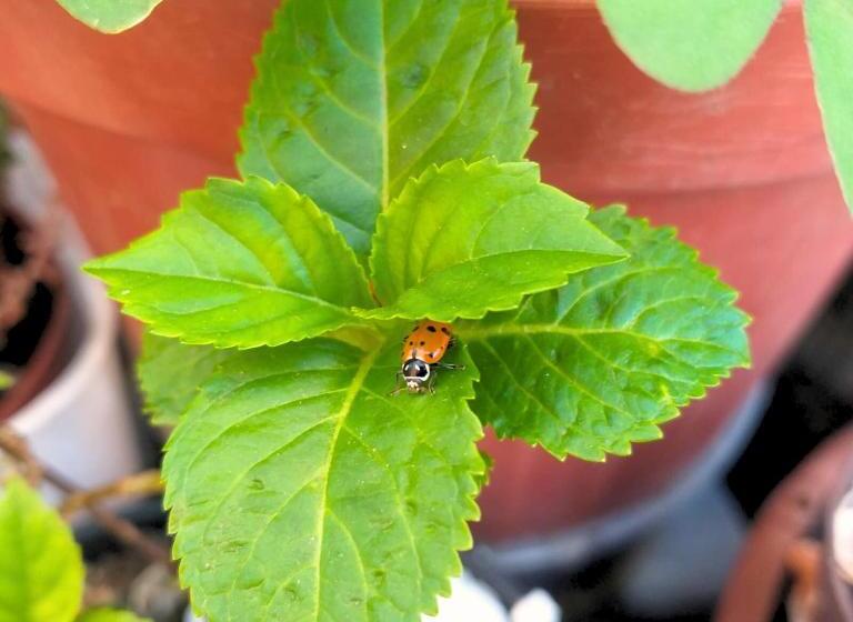 Micasa Hostel   Congonhas