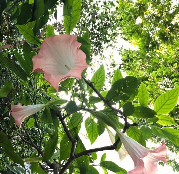 Micasa Hostel   Congonhas