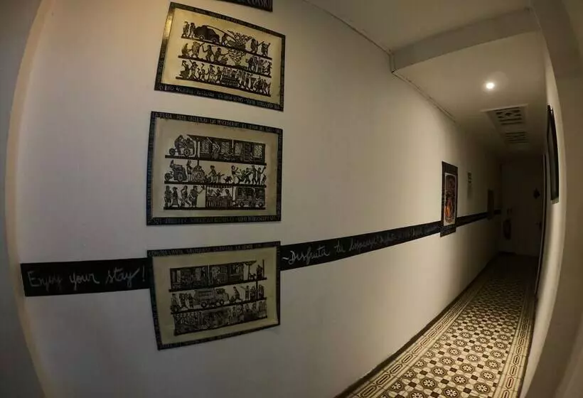 Escarabajo Hostel