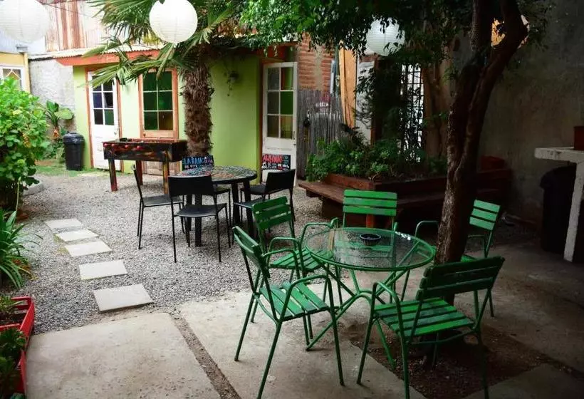 Escarabajo Hostel