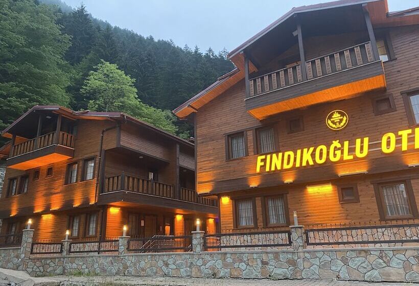 Hotel Findikoglu