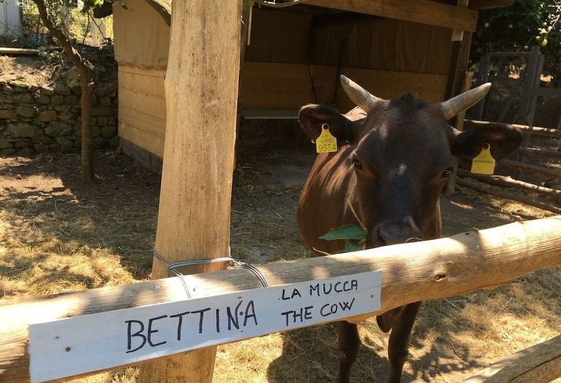 Отель Agriturismo Podere Don Peppe 1884