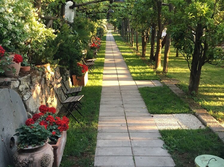 Отель Agriturismo Podere Don Peppe 1884