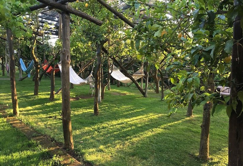 Отель Agriturismo Podere Don Peppe 1884