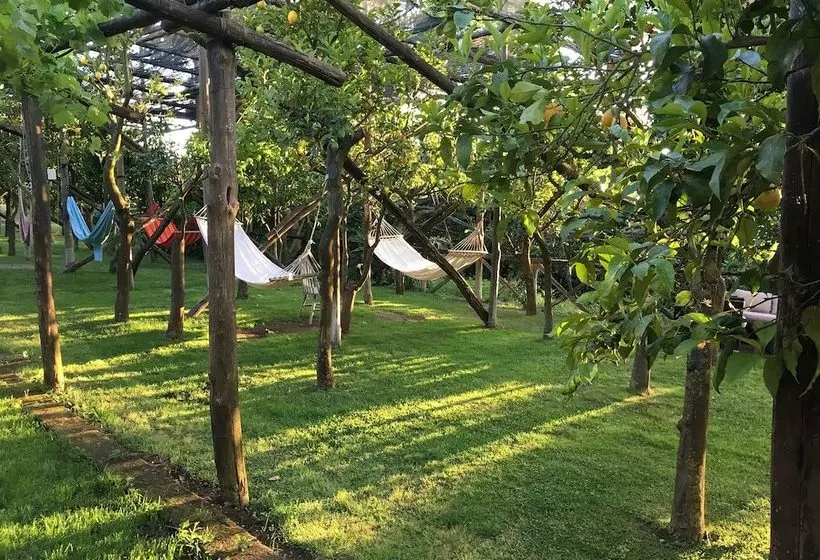 Hotelli Agriturismo Podere Don Peppe 1884