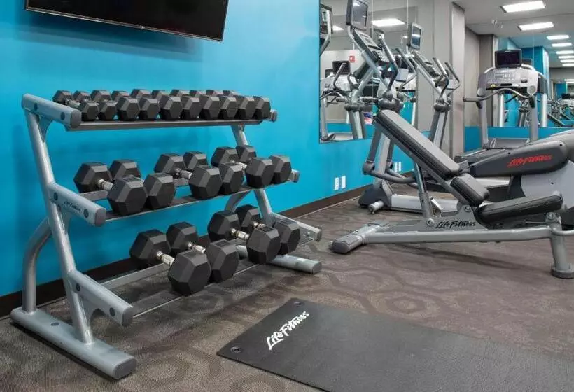 ホテル Fairfield Inn & Suites By Marriott New York Queens/fresh Meadows