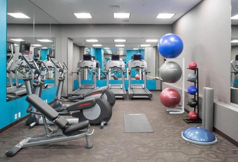 Hotel Fairfield Inn & Suites By Marriott New York Queens/fresh Meadows