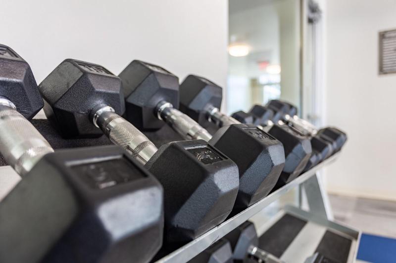 Locale Austin Rainey Street