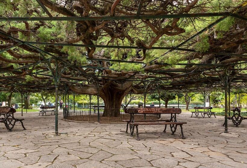 My Suite Lisbon Serviced Apartments Principe Real