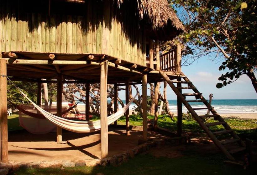 Общежитие Ecolodge Playa Brava Teyumakke