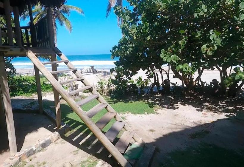 Общежитие Ecolodge Playa Brava Teyumakke