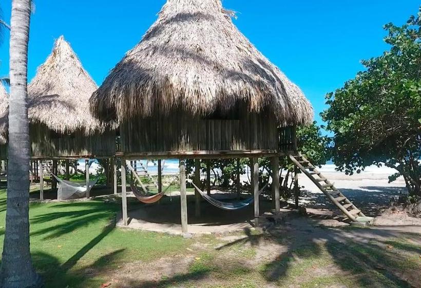 Общежитие Ecolodge Playa Brava Teyumakke