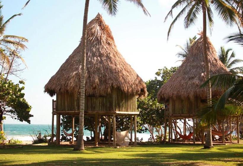 Общежитие Ecolodge Playa Brava Teyumakke