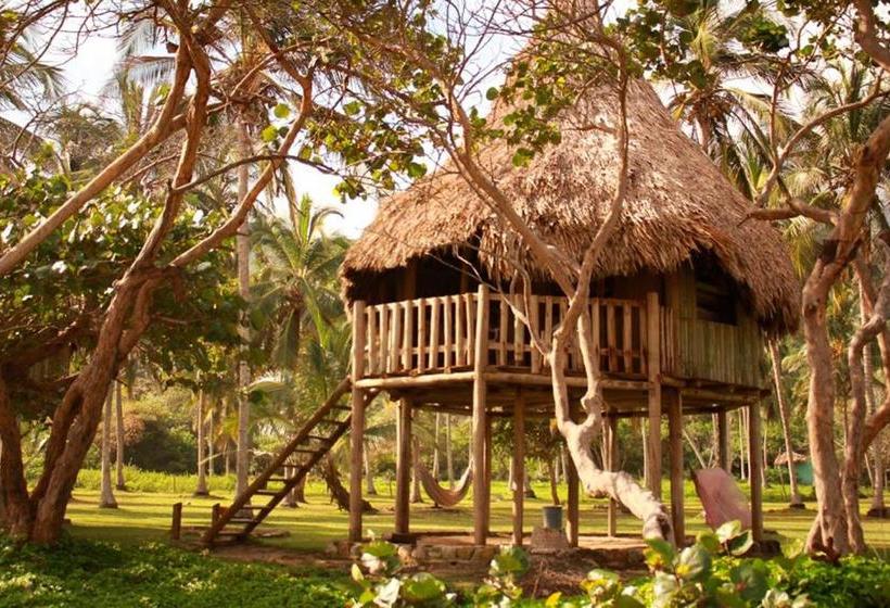 Общежитие Ecolodge Playa Brava Teyumakke
