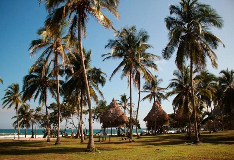 Общежитие Ecolodge Playa Brava Teyumakke