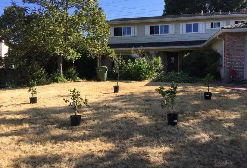 تختخواب و صبحانه Saratoga House   Cars Available